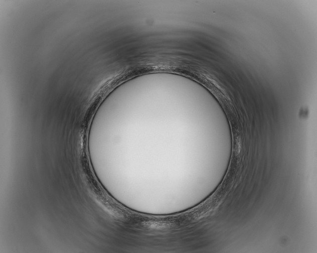 X0000090880733200707271016