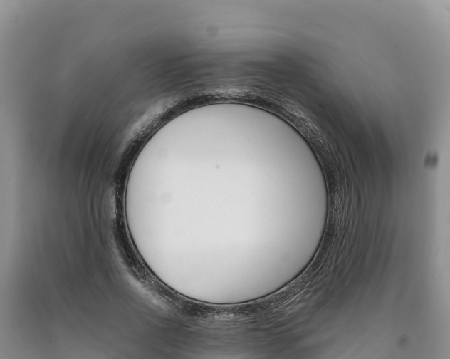 X0000090880734200707271016