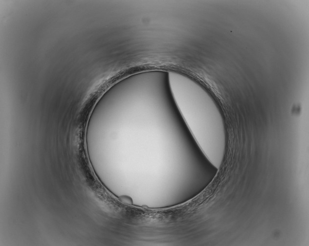 X0000090880736200707271016