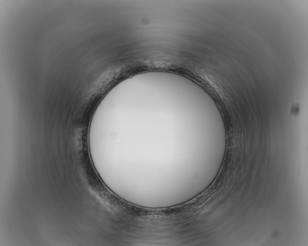 X0000090880738200707271016