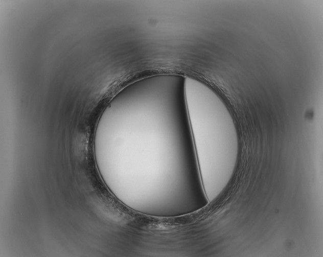 X0000090880739200707271016