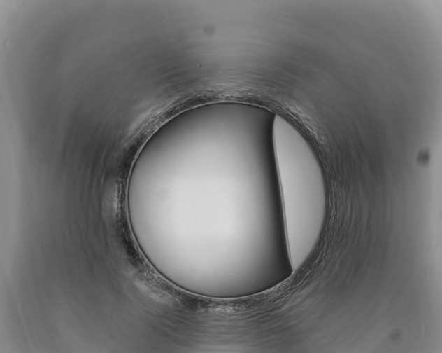 X0000090880740200707271016
