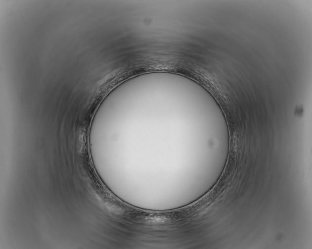 X0000090880741200707271016