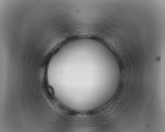 X0000090880742200707271016