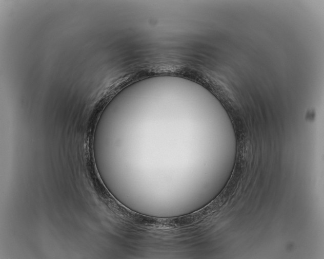 X0000090880743200707271016