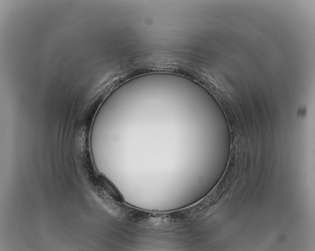 X0000090880744200707271016