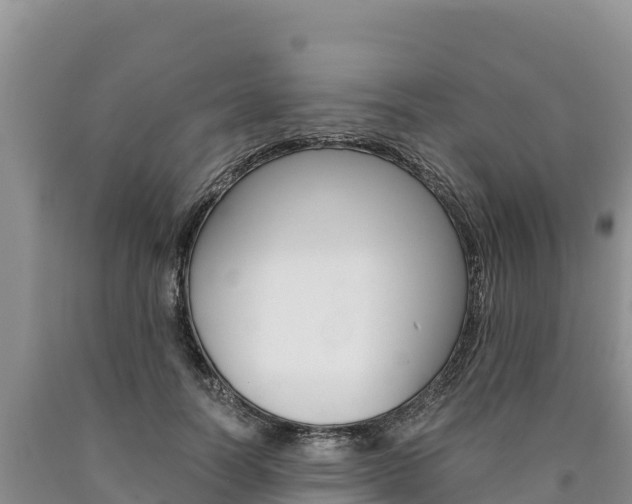 X0000090880746200707271016