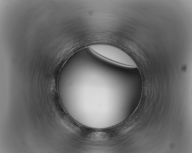 X0000090880748200707271016