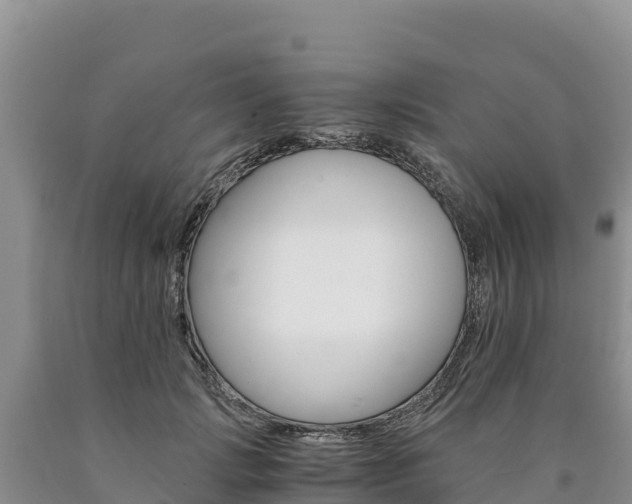 X0000090880749200707271016