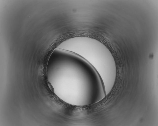 X0000090880750200707271016