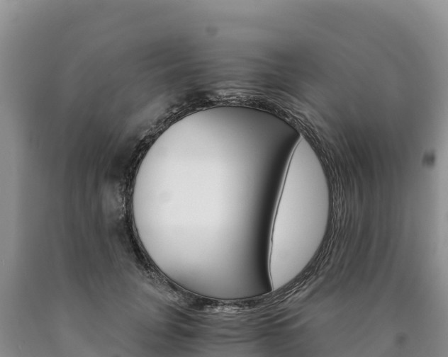 X0000090880751200707271016