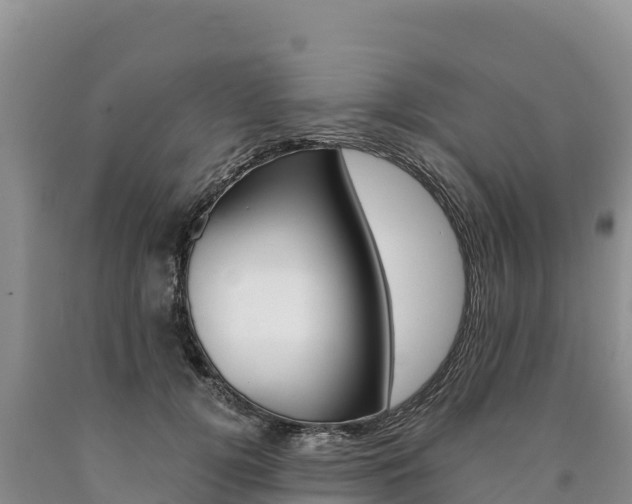 X0000090880752200707271016