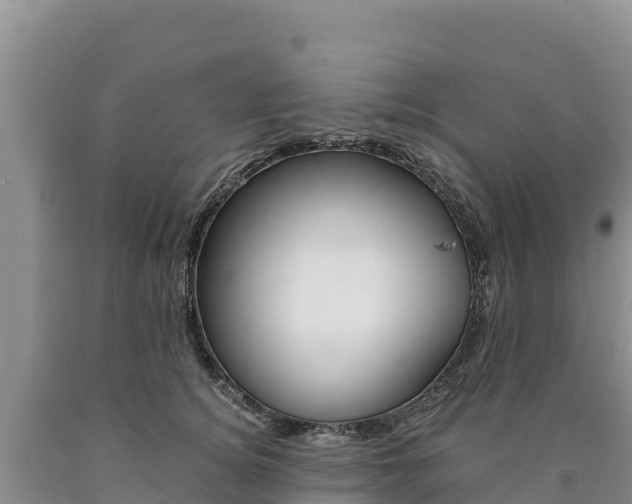X0000090880756200707271016