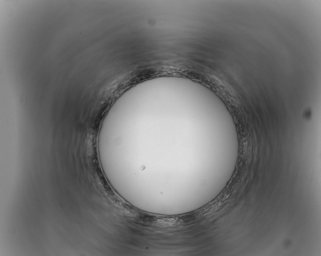X0000090880757200707271016