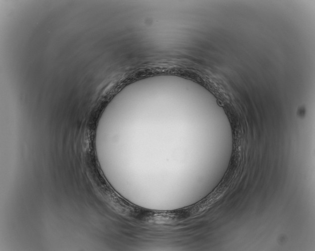 X0000090880758200707271016