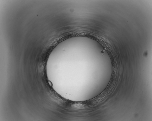 X0000090880759200707271016