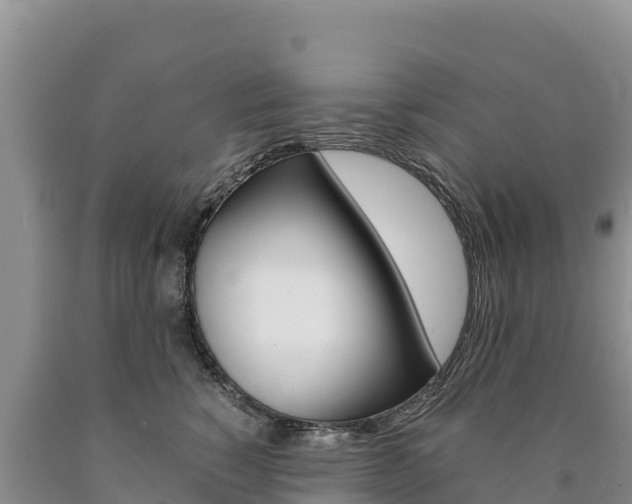 X0000090880760200707271016
