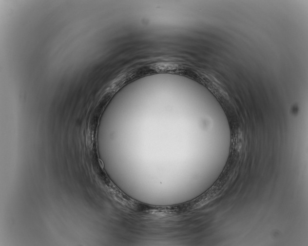 X0000090880763200707271016