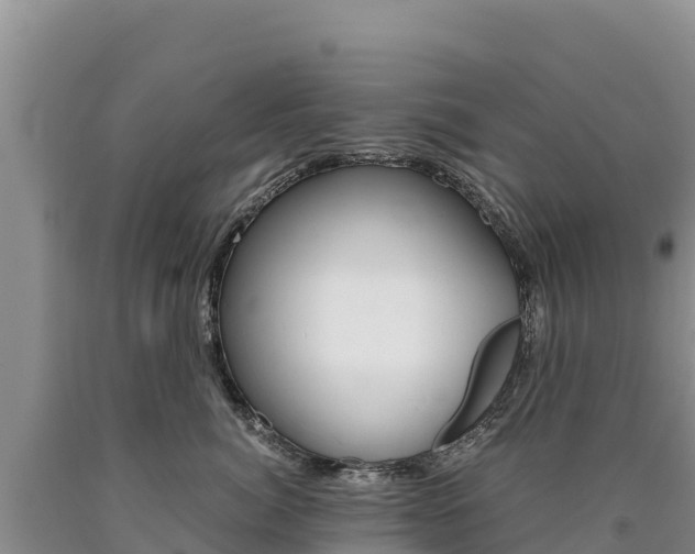 X0000090880764200707271016