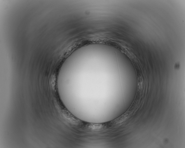 X0000090880767200707271016