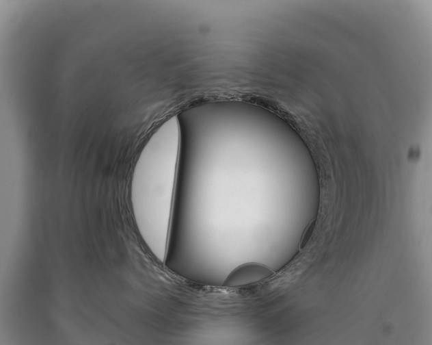 X0000090880768200707271016