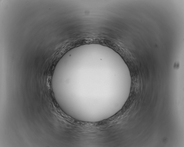 X0000090880770200707271015