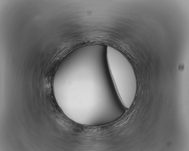 X0000090880771200707271015