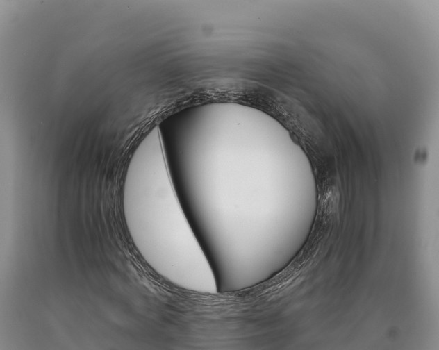 X0000090880772200707271015