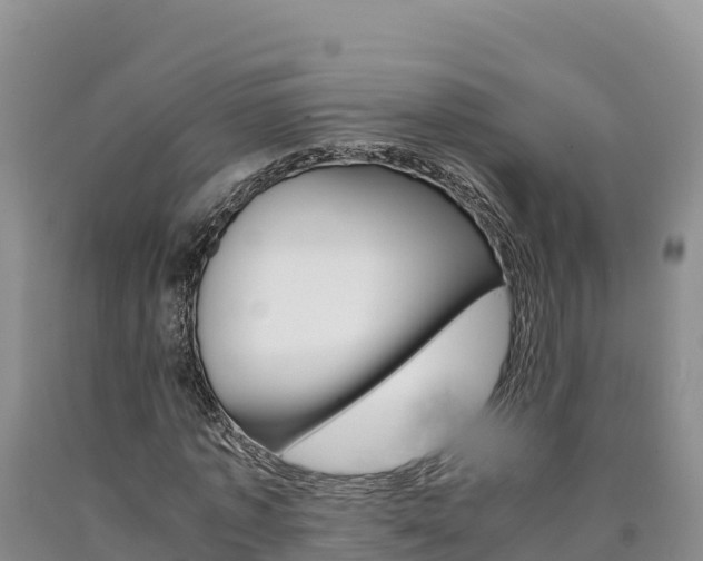 X0000090880773200707271015