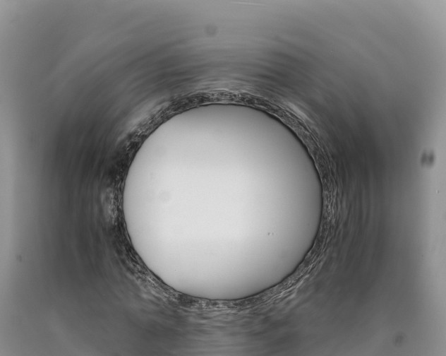 X0000090880774200707271015