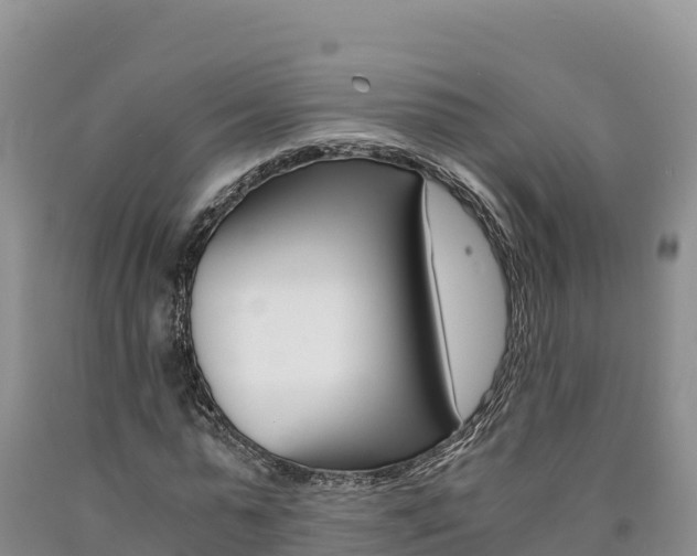 X0000090880775200707271015