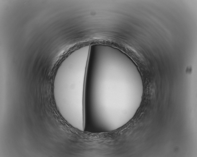 X0000090880776200707271015