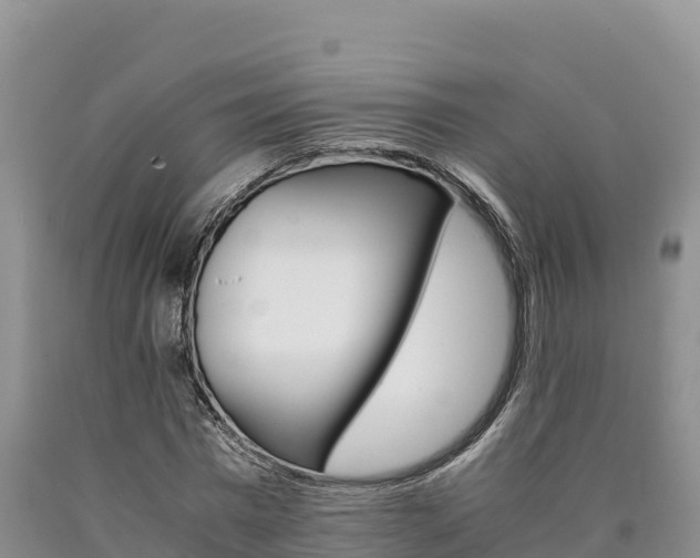 X0000090880777200707271015