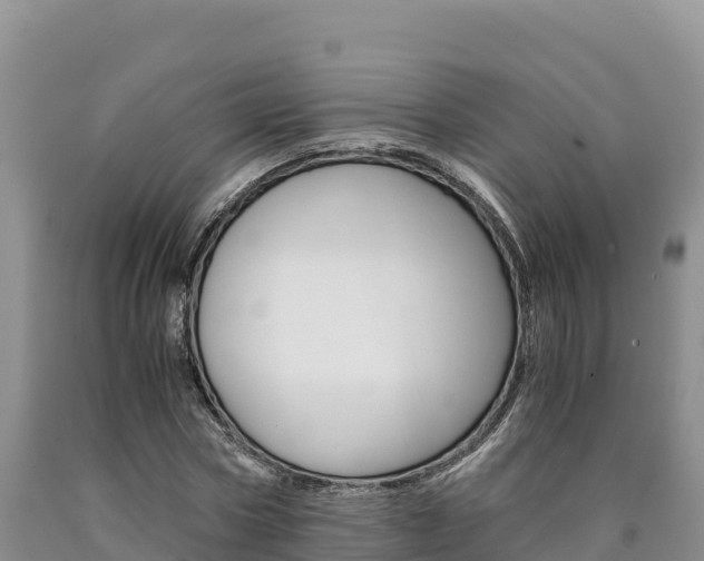 X0000090880778200707271015