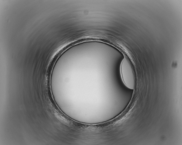 X0000090880779200707271015