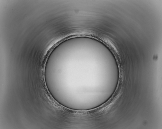 X0000090880781200707271015