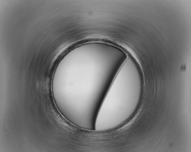 X0000090880783200707271015