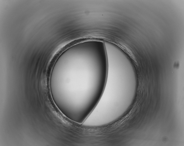 X0000090880784200707271015
