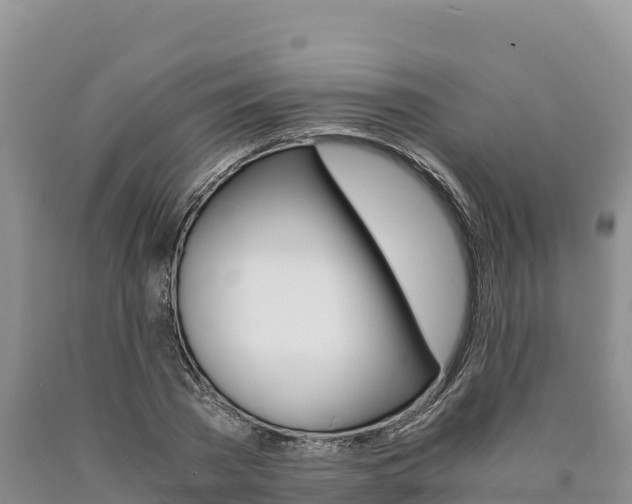 X0000090880785200707271015