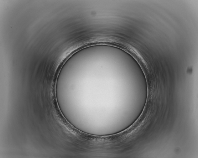 X0000090880786200707271015