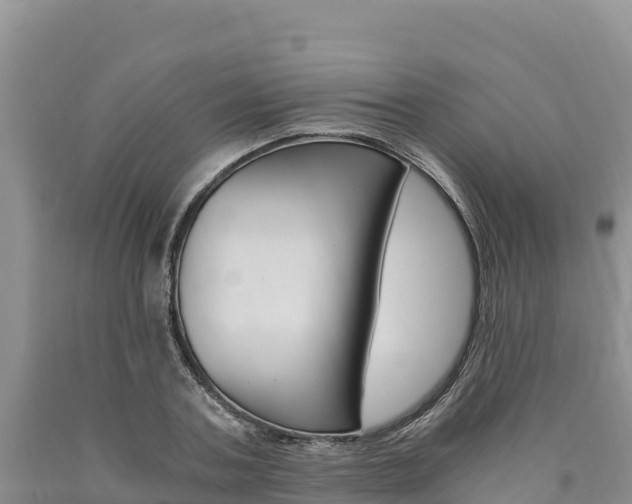 X0000090880787200707271015