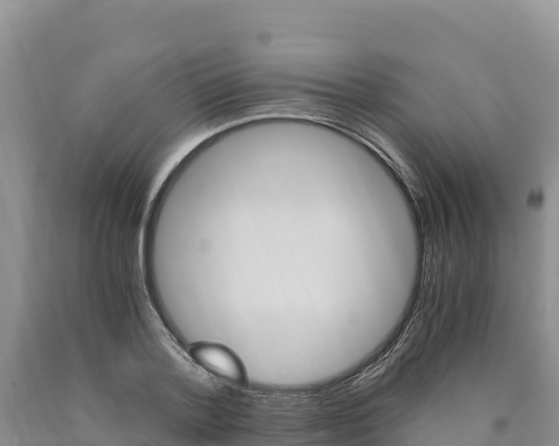 X0000090880788200707271015