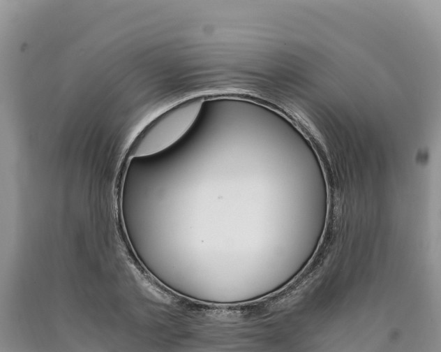 X0000090880789200707271015
