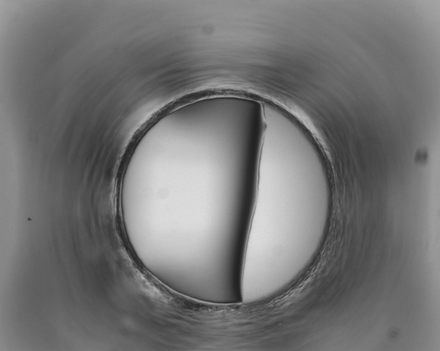 X0000090880791200707271015