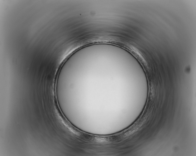 X0000090880794200707271015