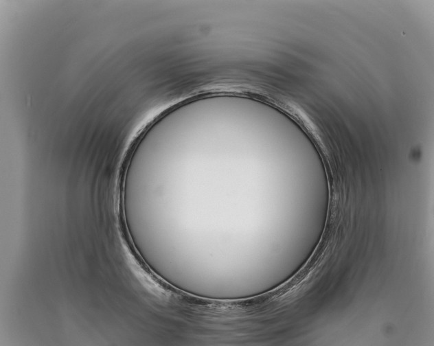 X0000090880795200707271015
