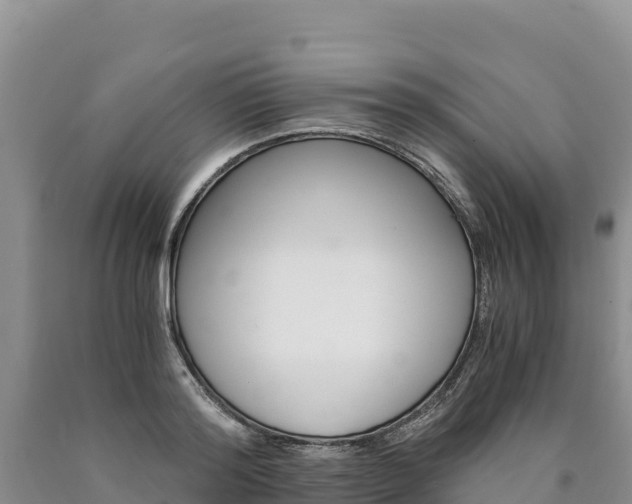 X0000090880796200707271015