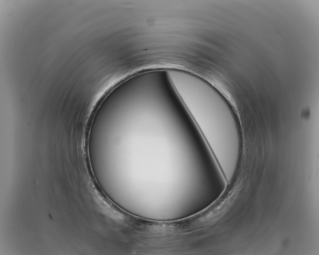 X0000090880797200707271015