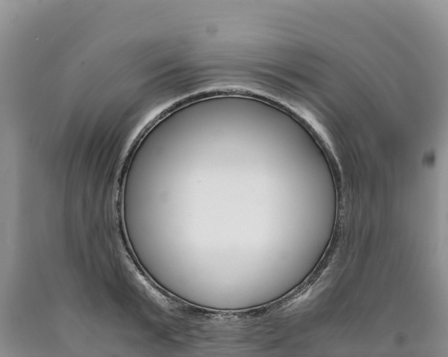 X0000090880799200707271015