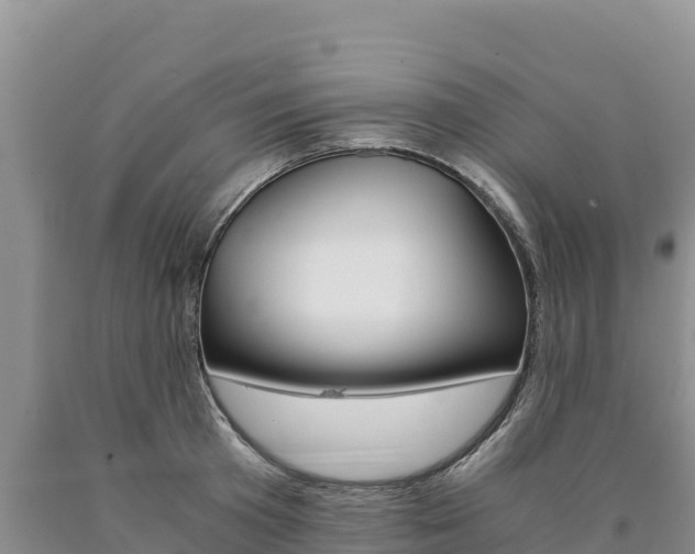 X0000090880801200707271015